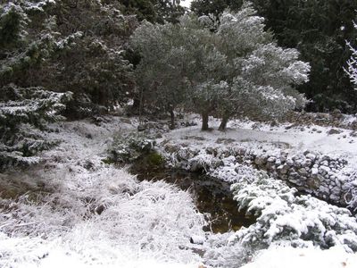 18.2.2009. by Ivan Tomicic
